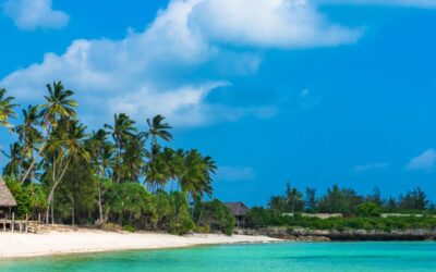 Zanzibar: il Paradiso che nasconde tesori inaspettati